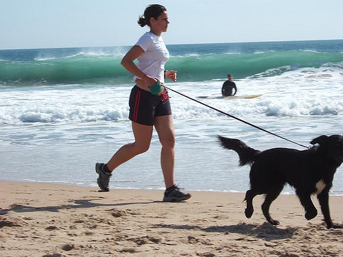 犬を連れてジョギングする女性