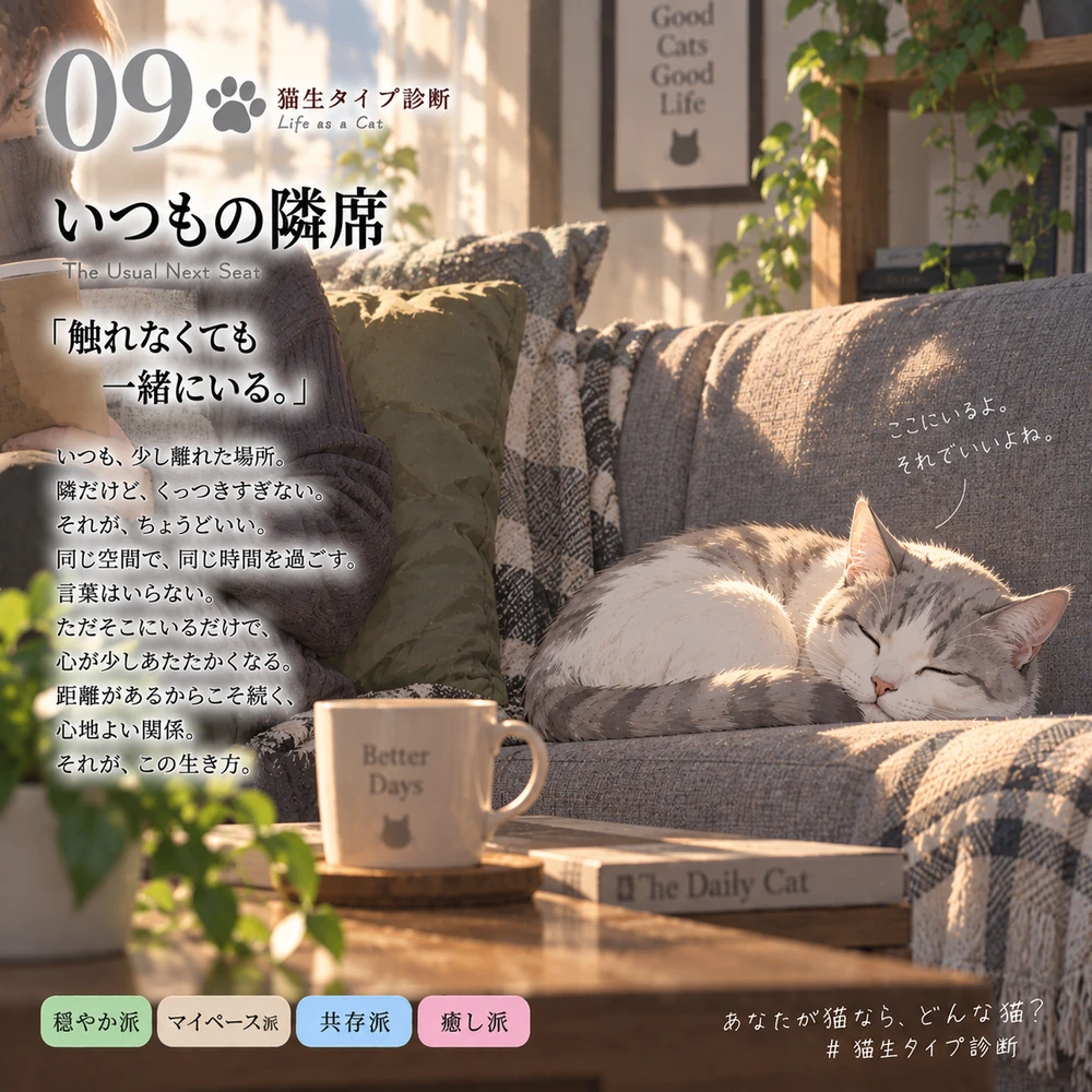 いつもの隣席の猫生タイプカード